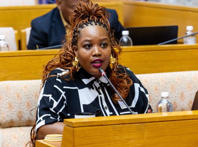 DA slams EFF for hindering Smart ID rollout and supporting long queues at Home Affairs